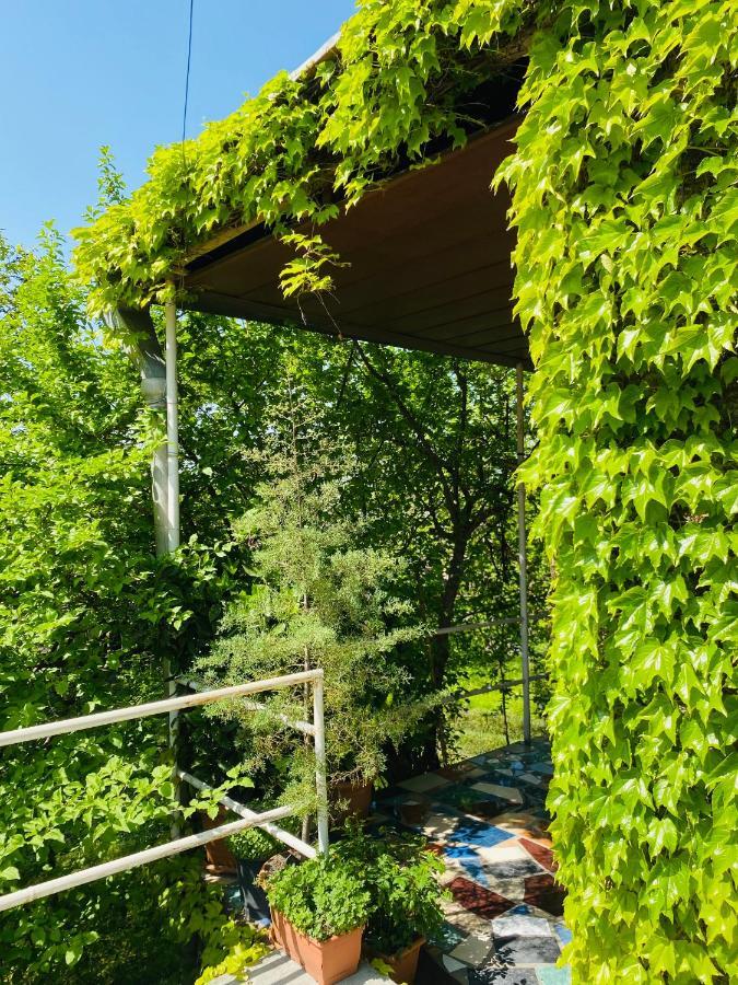 Hotel Green House Lagodechi Exterior foto