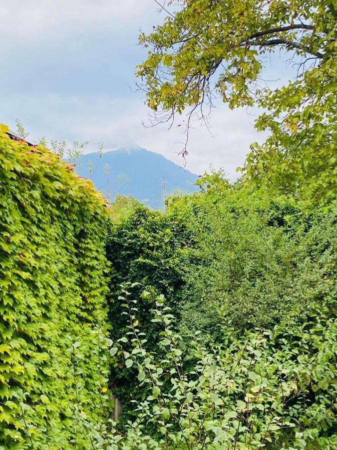 Hotel Green House Lagodechi Exterior foto